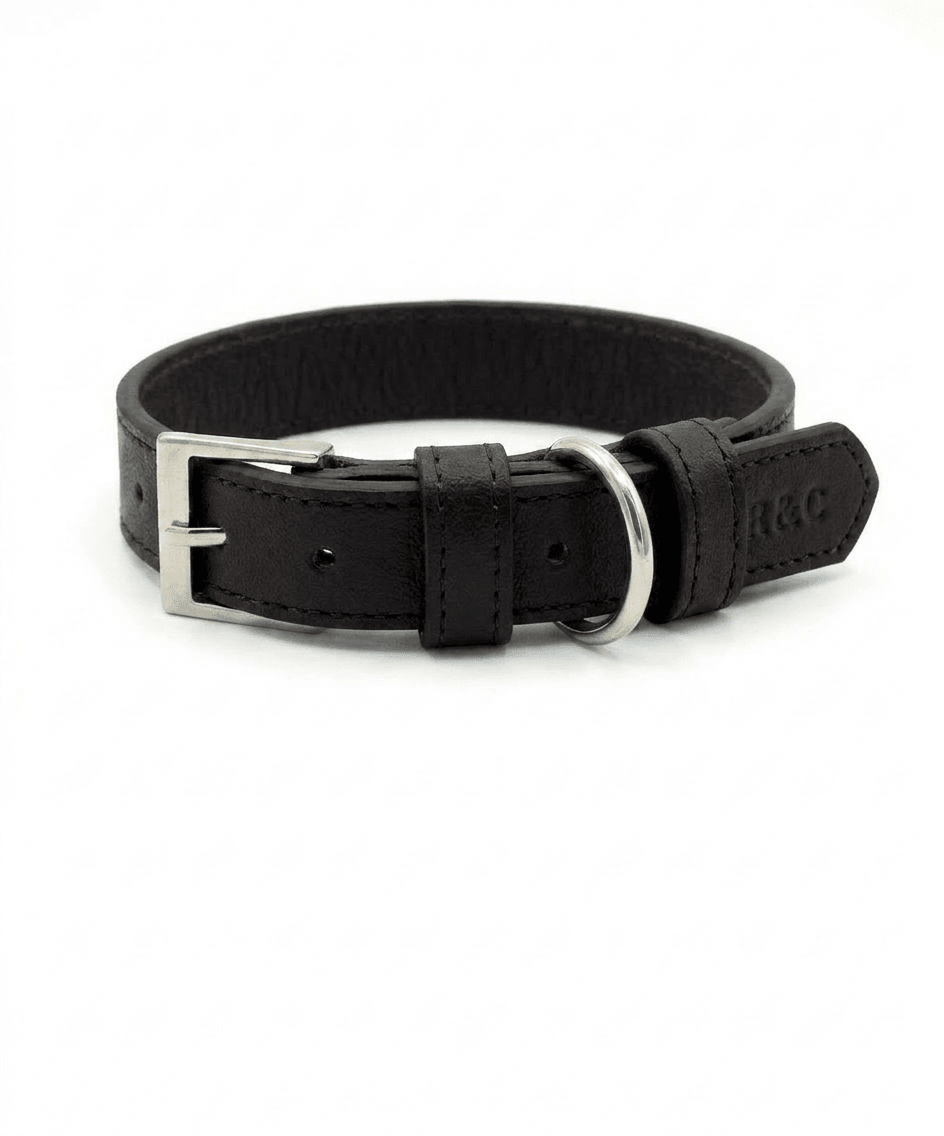 Black Leather Dog Collar - Ralph & Co