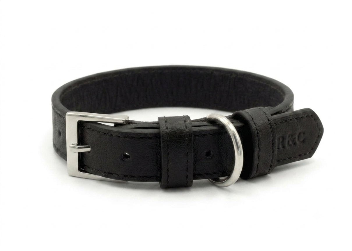 Black Leather Dog Collar - Ralph & Co