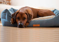 Load image into Gallery viewer, Chenille Nest Dog Bed | Rayleigh - Ralph & Co
