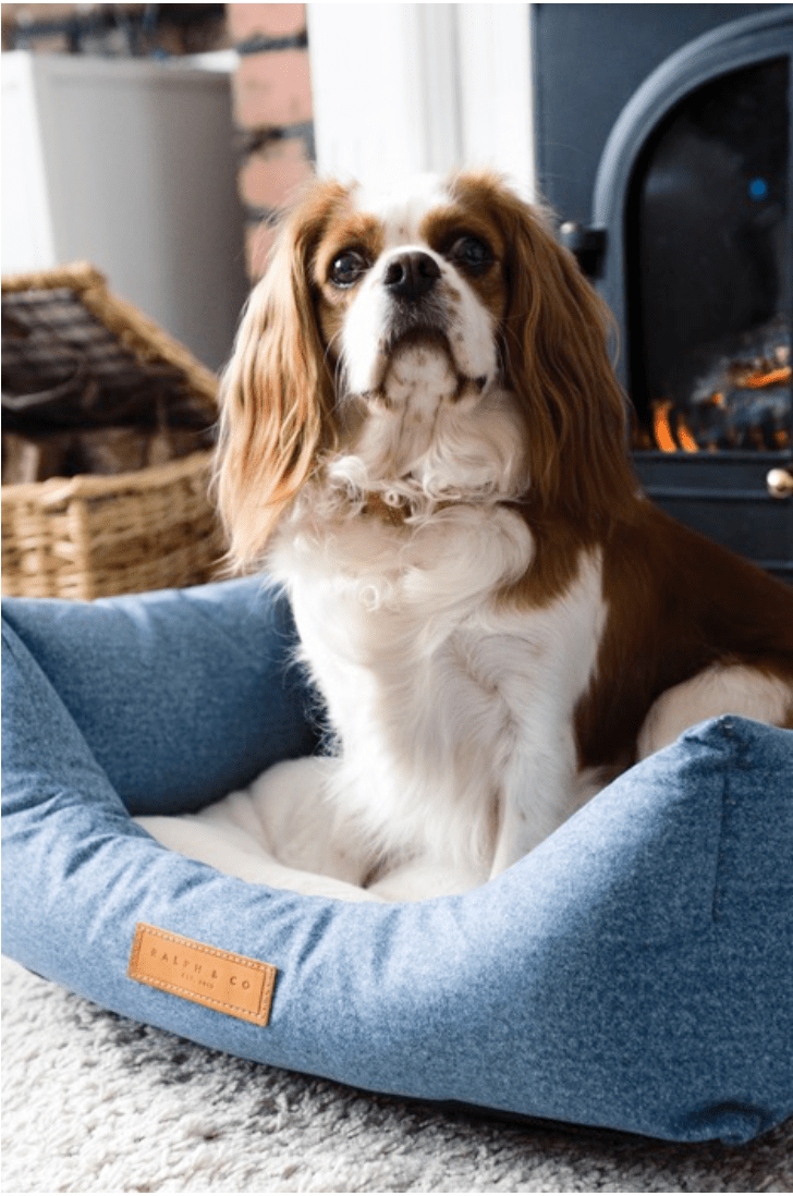 Chenille Nest Dog Bed | Rayleigh - Ralph & Co