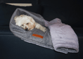 Load image into Gallery viewer, Luxury Washable Herringbone Dog Blanket | Balmoral - Ralph & Co
