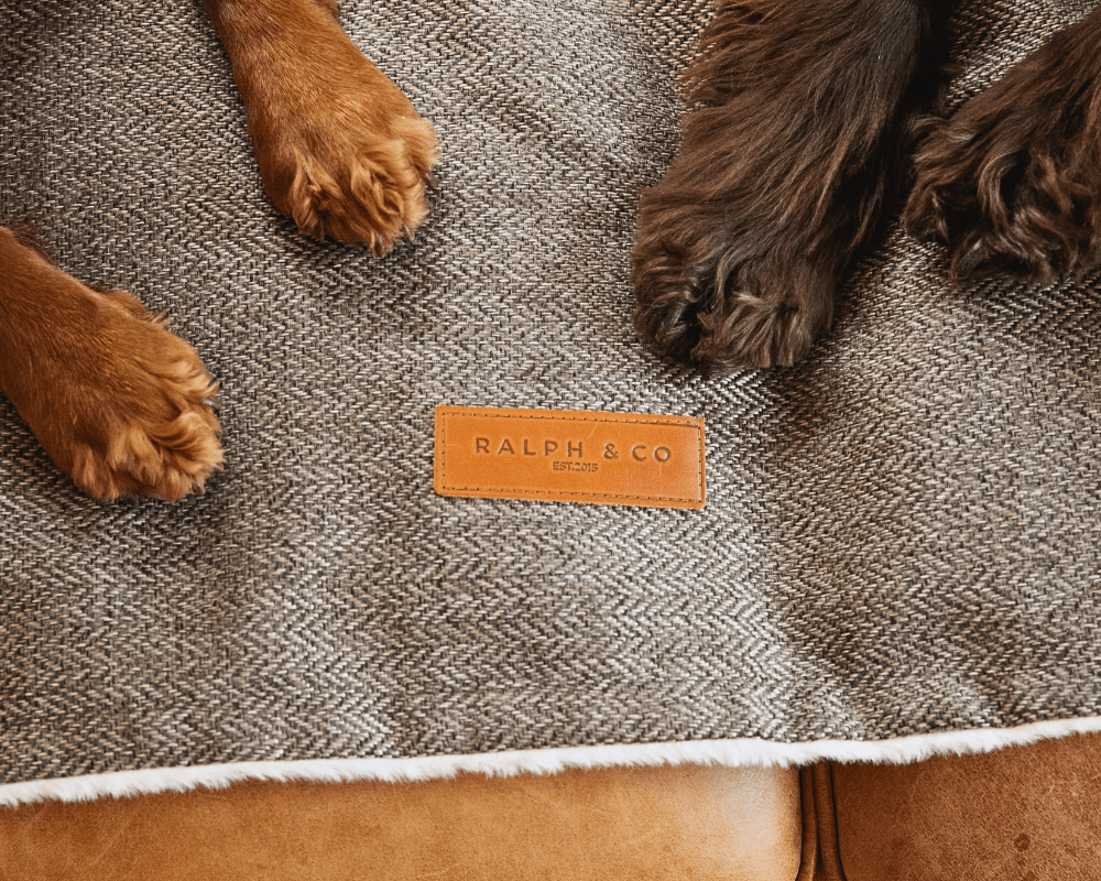 Luxury Washable Tweed Dog Blanket | Lincoln - Ralph & Co