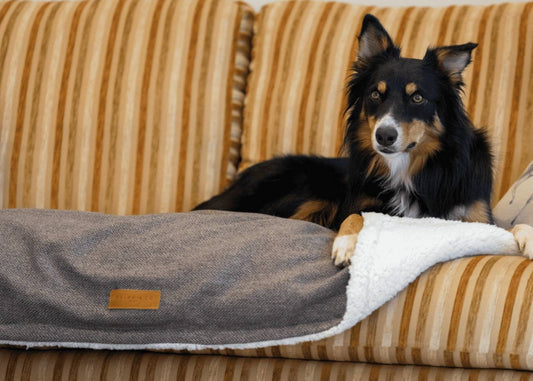 Luxury Washable Tweed Dog Blanket | Lincoln - Ralph & Co