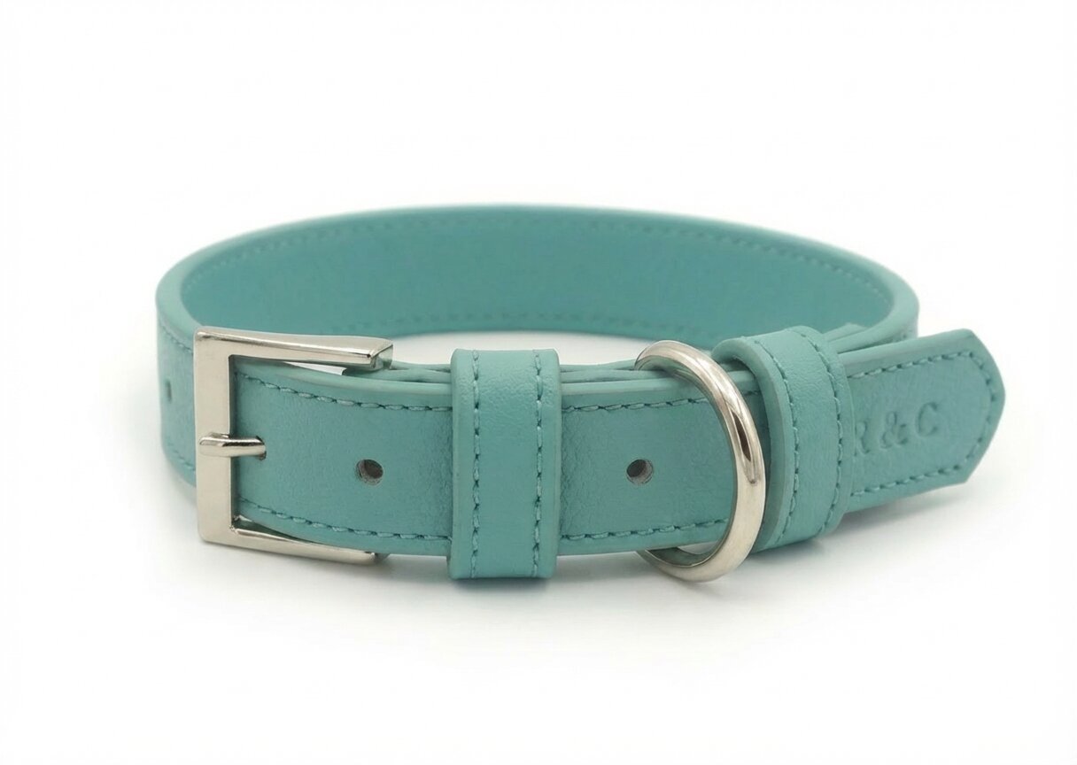 Duck Egg Blue Leather Dog Collar - Ralph & Co