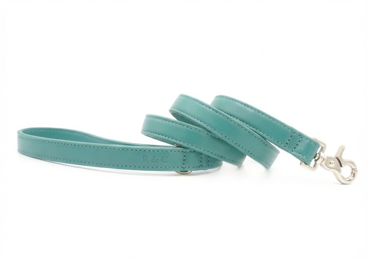 Duck Egg Blue Leather Dog Lead - Ralph & Co