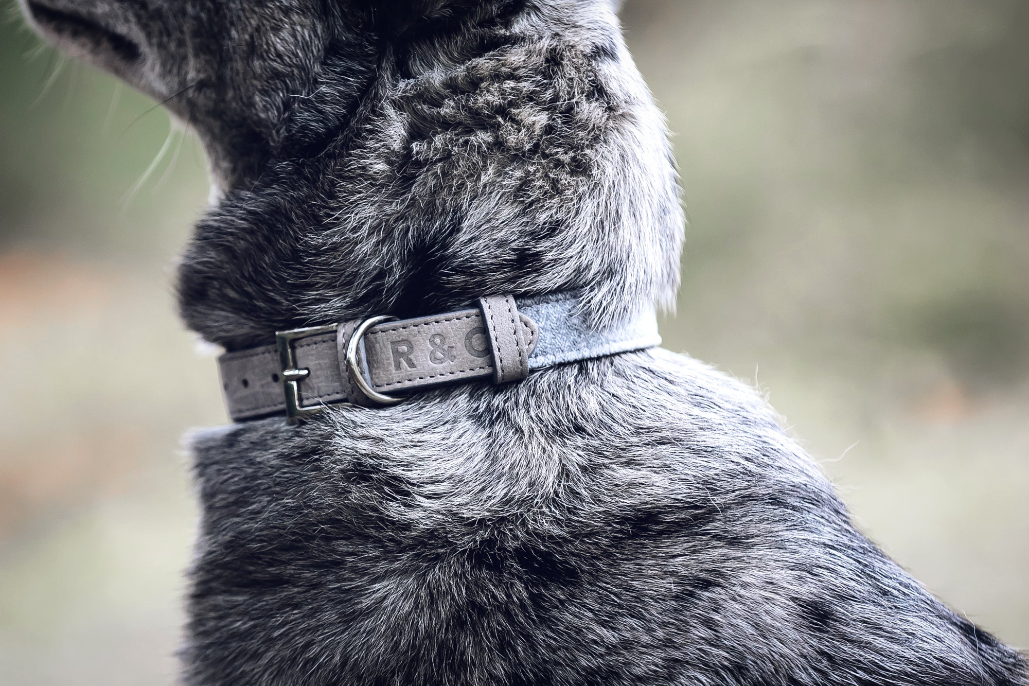 Fabric & Leather Collar - Dalton - Ralph & Co