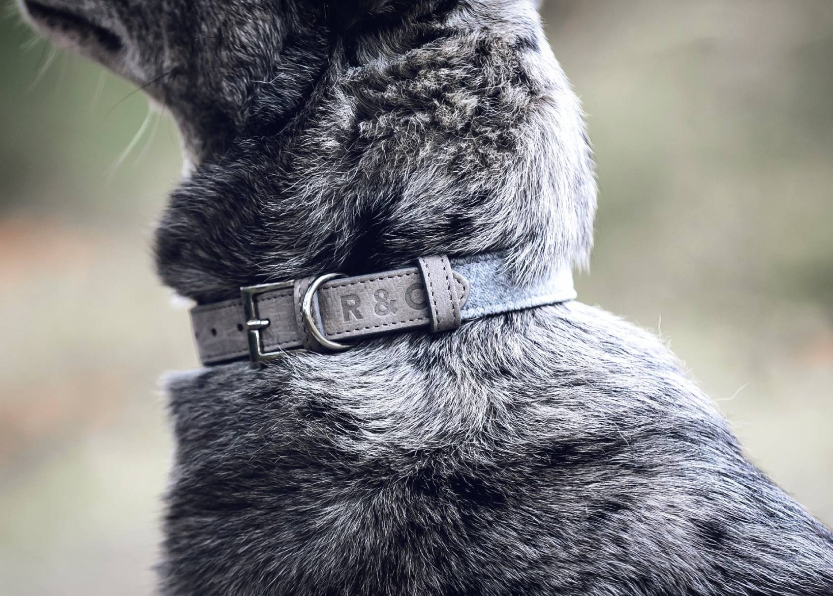 Fabric & Leather Collar - Dalton