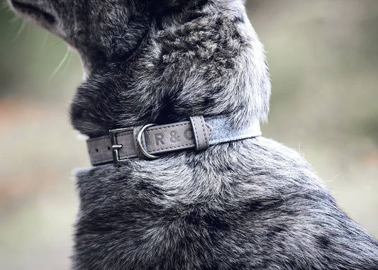 Fabric & Leather Collar - Dalton - Ralph & Co