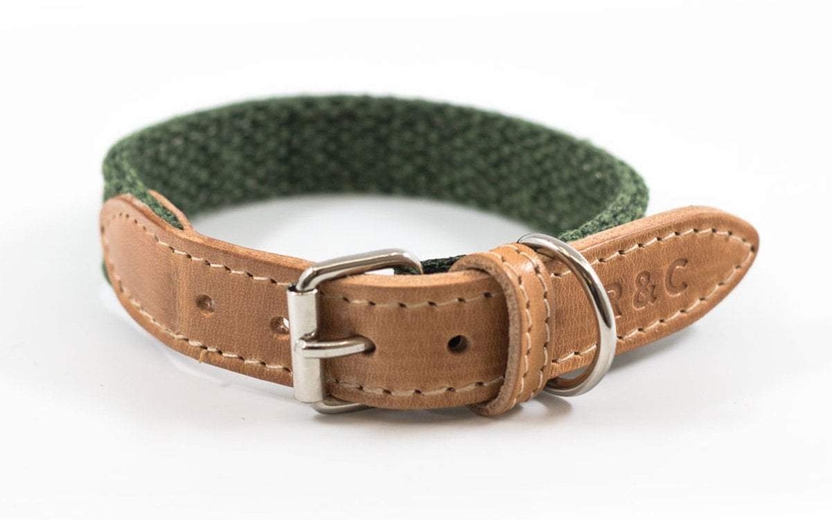 Fabric & Leather Collar - Richmond - Ralph & Co