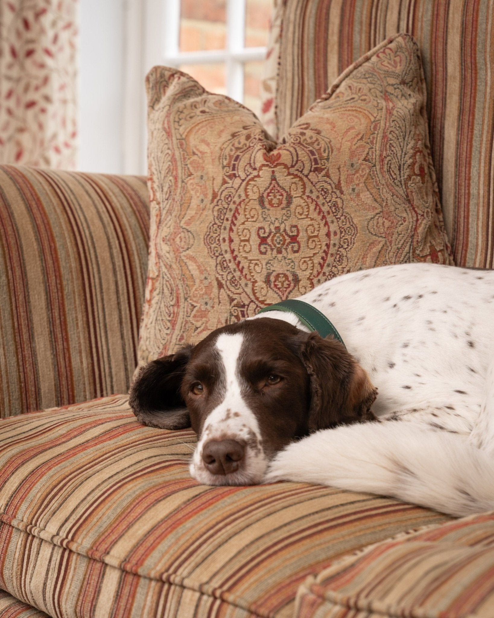Green Leather Dog Collar - Ralph & Co