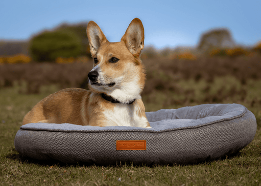 THE BALMORAL  | LUXURY DONUT BED - Ralph & Co