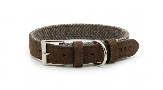 Herringbone & Leather Collar - Lincoln - Ralph & Co
