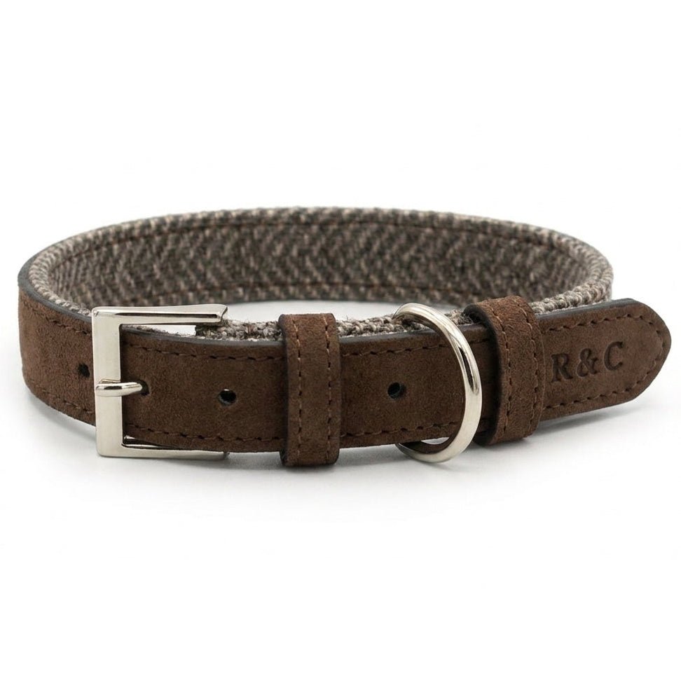 Herringbone & Leather Collar - Lincoln - Ralph & Co
