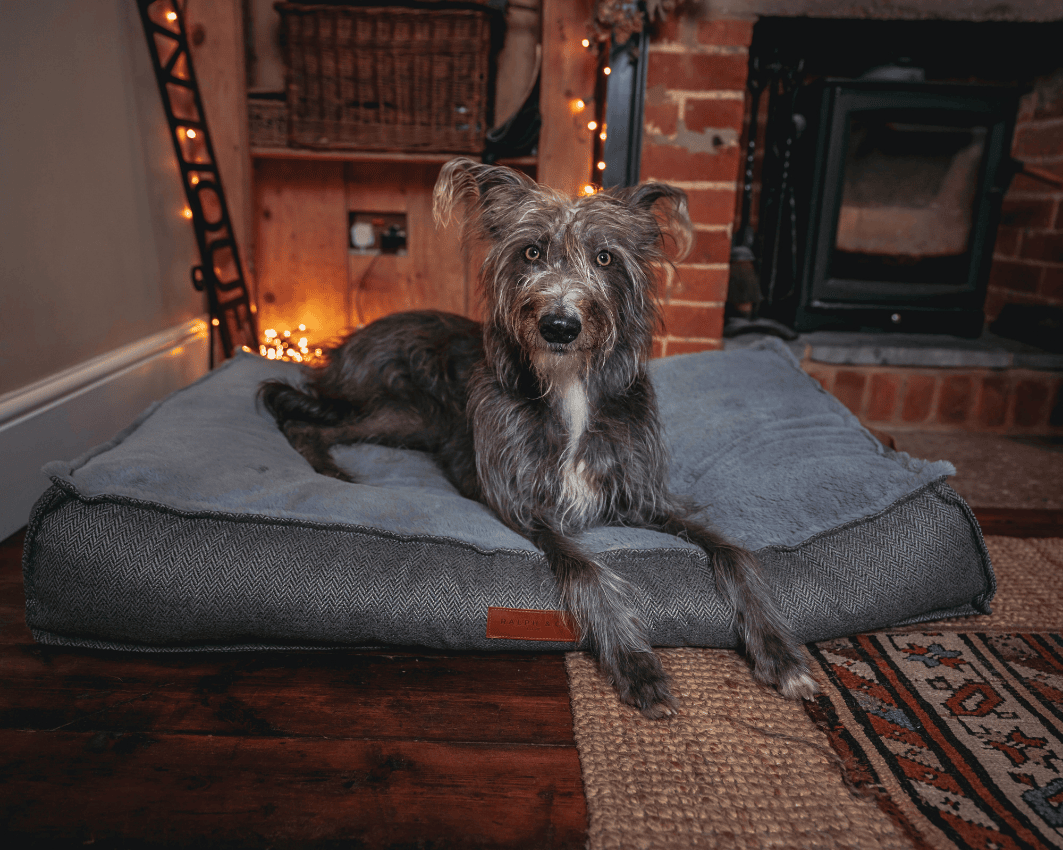 Herringbone Pillow Dog Bed | Balmoral - Ralph & Co