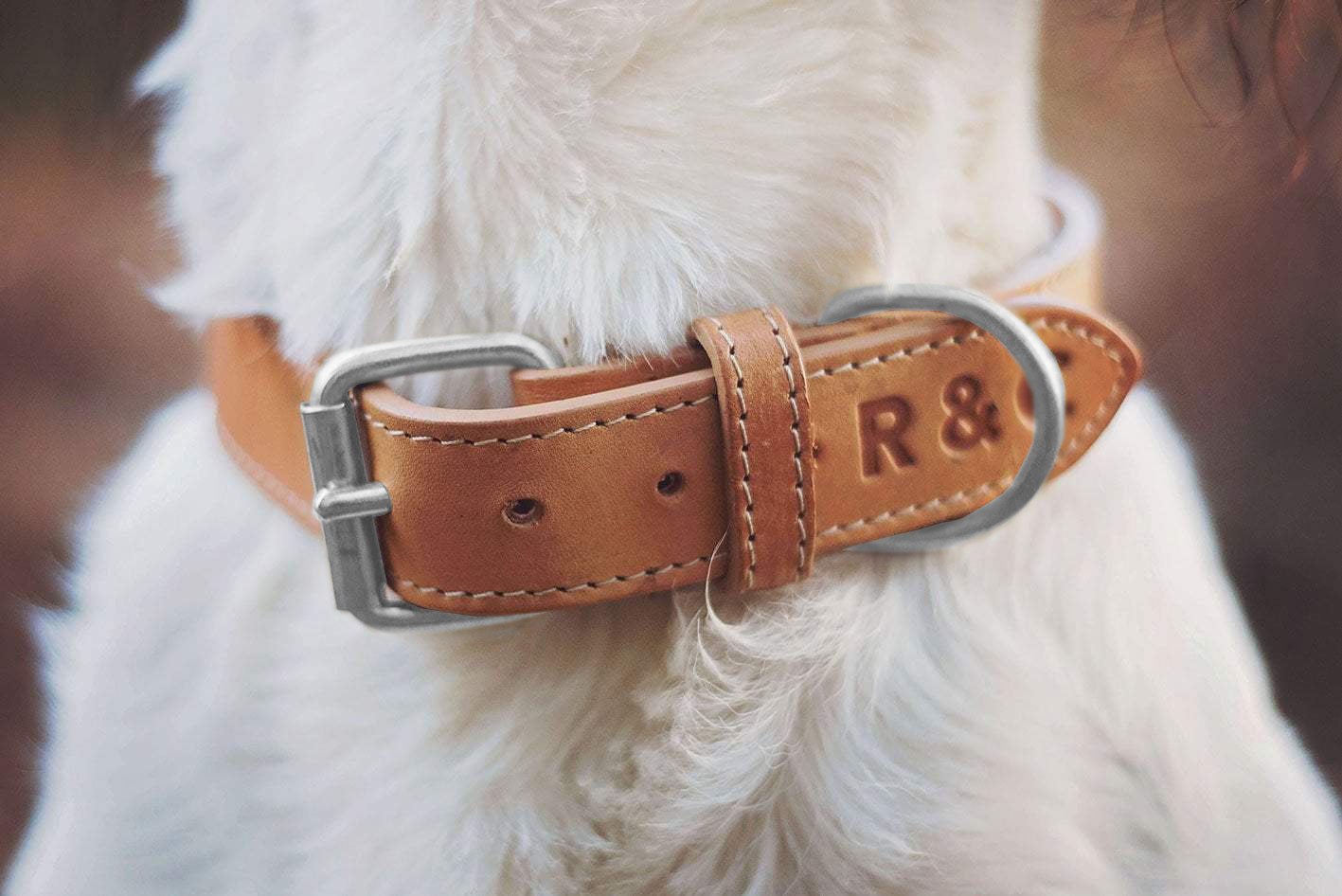 Italian Leather Collar - Trieste - Ralph & Co