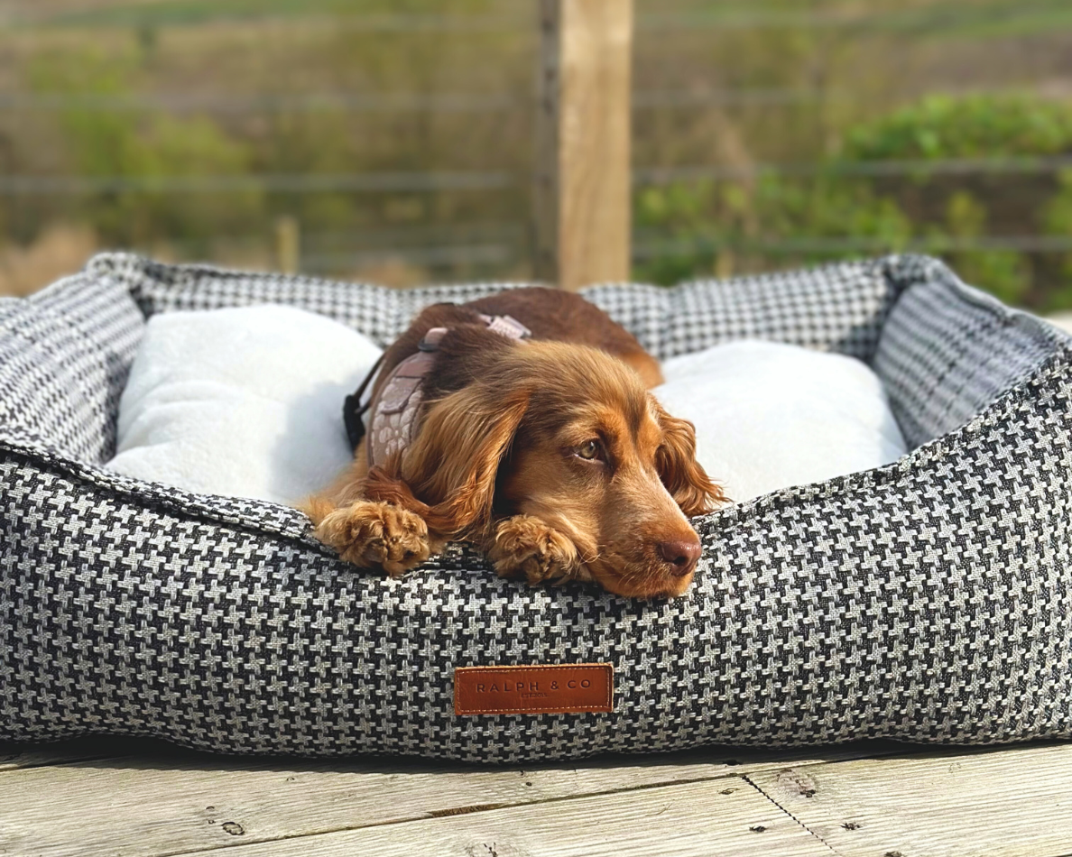 A golden cocker spaniel puppy rests in the Kensington nest bed