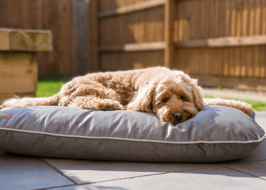 Luxury Memory Foam Crate Bed With Removable Covers | Grey - Ralph & Co