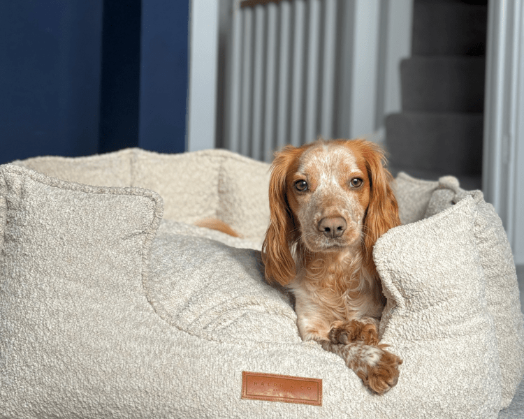 THE COTSWOLD | LUXURY BOUCLE BED - Ralph & Co