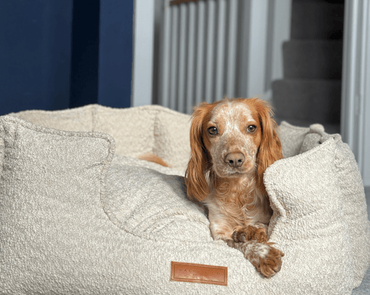 THE COTSWOLD | LUXURY BOUCLE BED - Ralph & Co