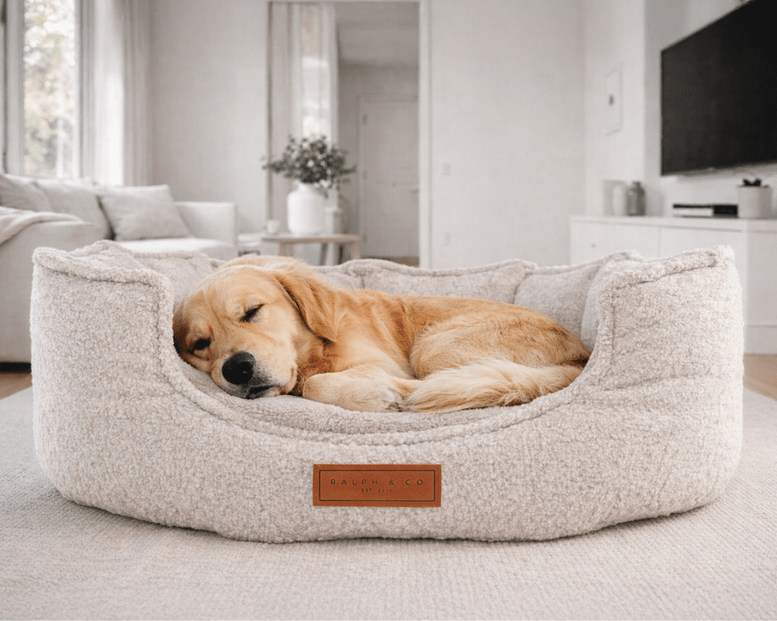 Luxury High Wall Boucle Dog Bed With Removable Covers | Cotswold - Ralph & Co