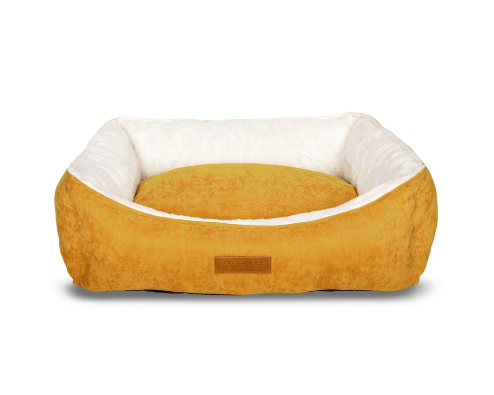 Luxury Velvet Dog Bed With Removable Covers | Sandringham - Ralph & Co