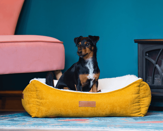 Luxury Velvet Dog Bed With Removable Covers | Sandringham - Ralph & Co