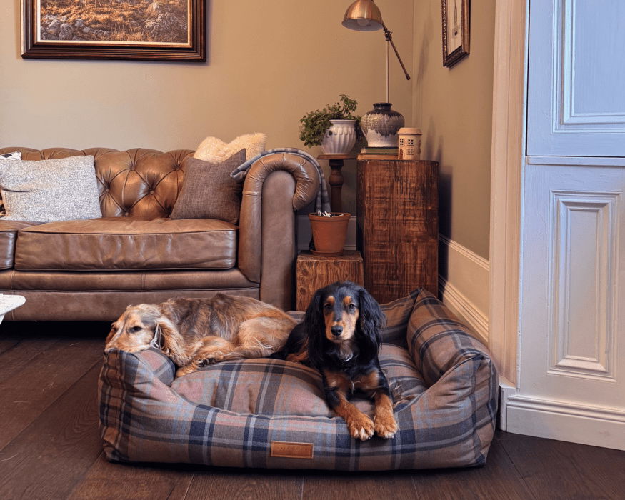 Luxury Tartan Dog Bed With Removable Covers | Marlow - Ralph & Co