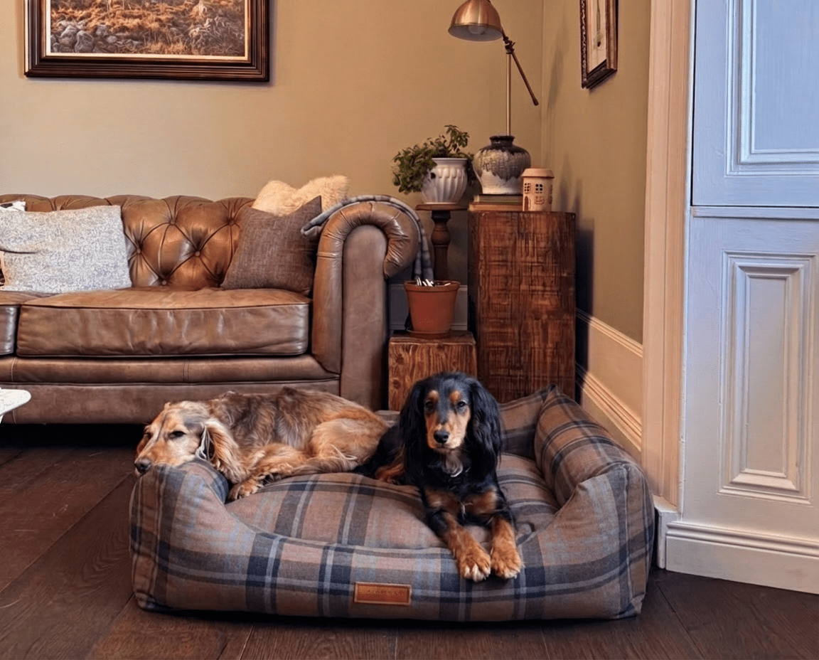 Luxury Tartan Dog Bed With Removable Covers | Marlow - Ralph & Co