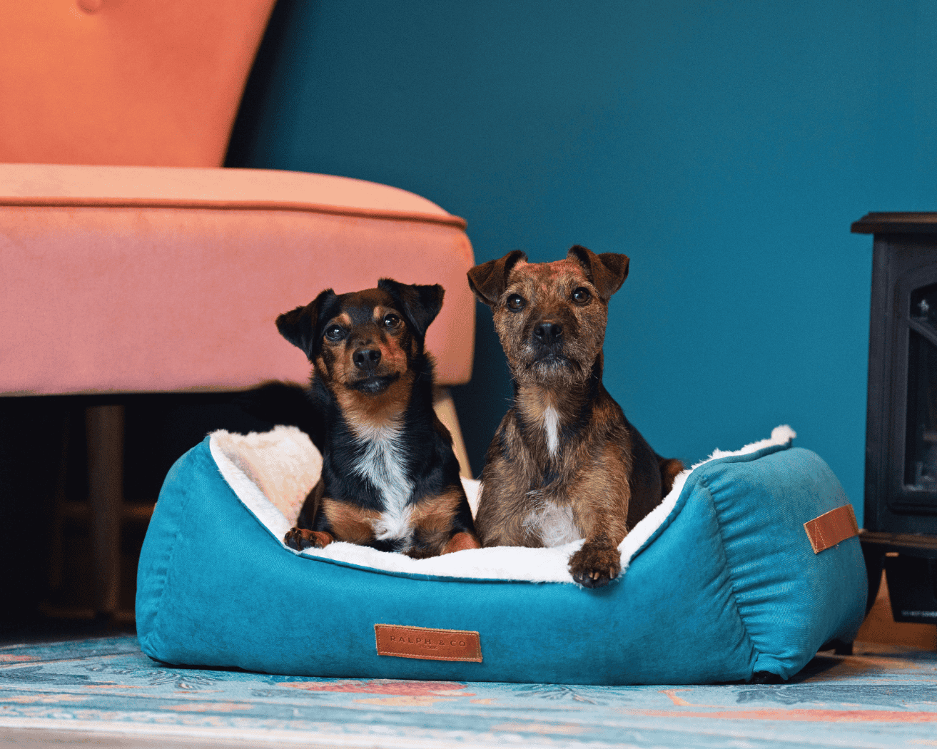 Luxury Velvet Dog Bed | Hampton - Ralph & Co