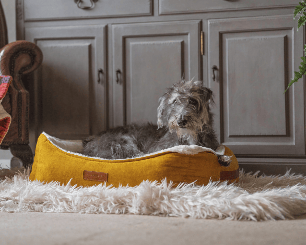 Luxury Velvet Dog Bed | Sandringham - Ralph & Co