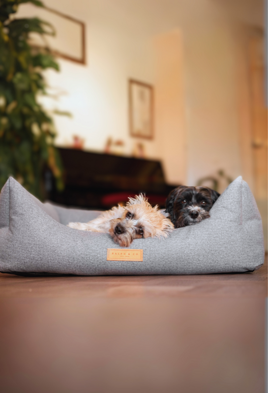 Ralph and 2024 co dog bed