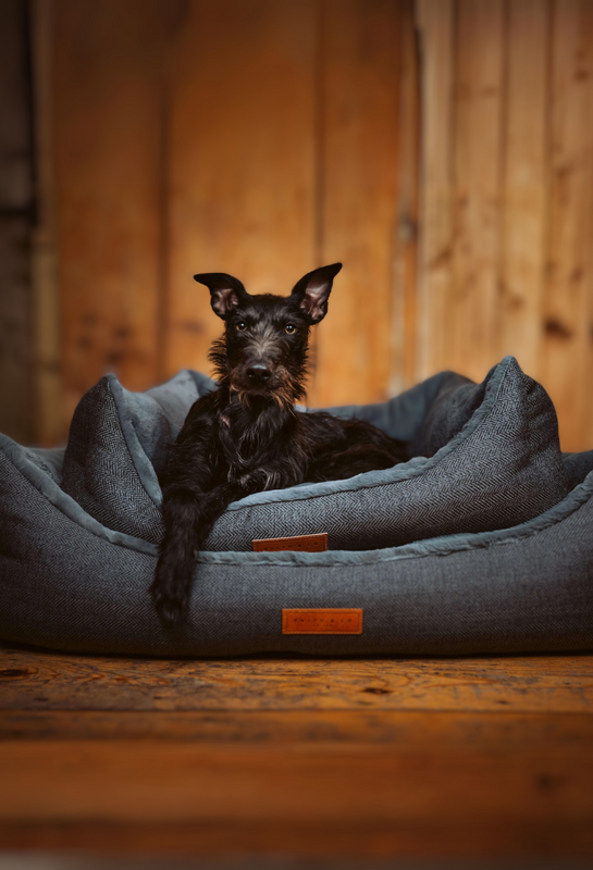 Ralph & Co Luxury Dog Beds, Stylish Collars & Leads UK Design