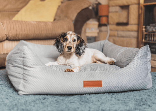 THE HIGHCLERE | LUXURY MEMORY FOAM BED - Ralph & Co