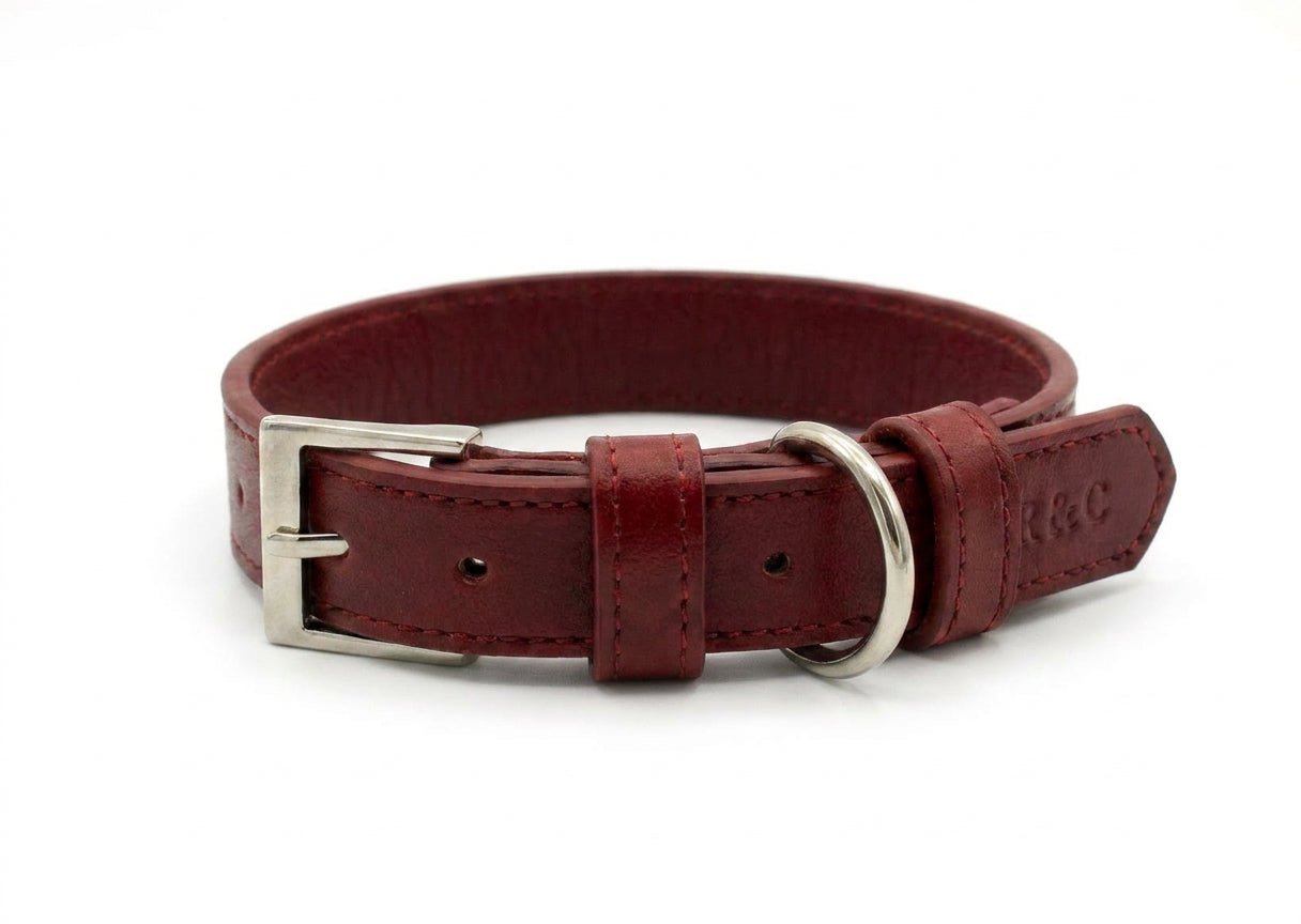 Oxblood Red Leather Dog Collar - Ralph & Co