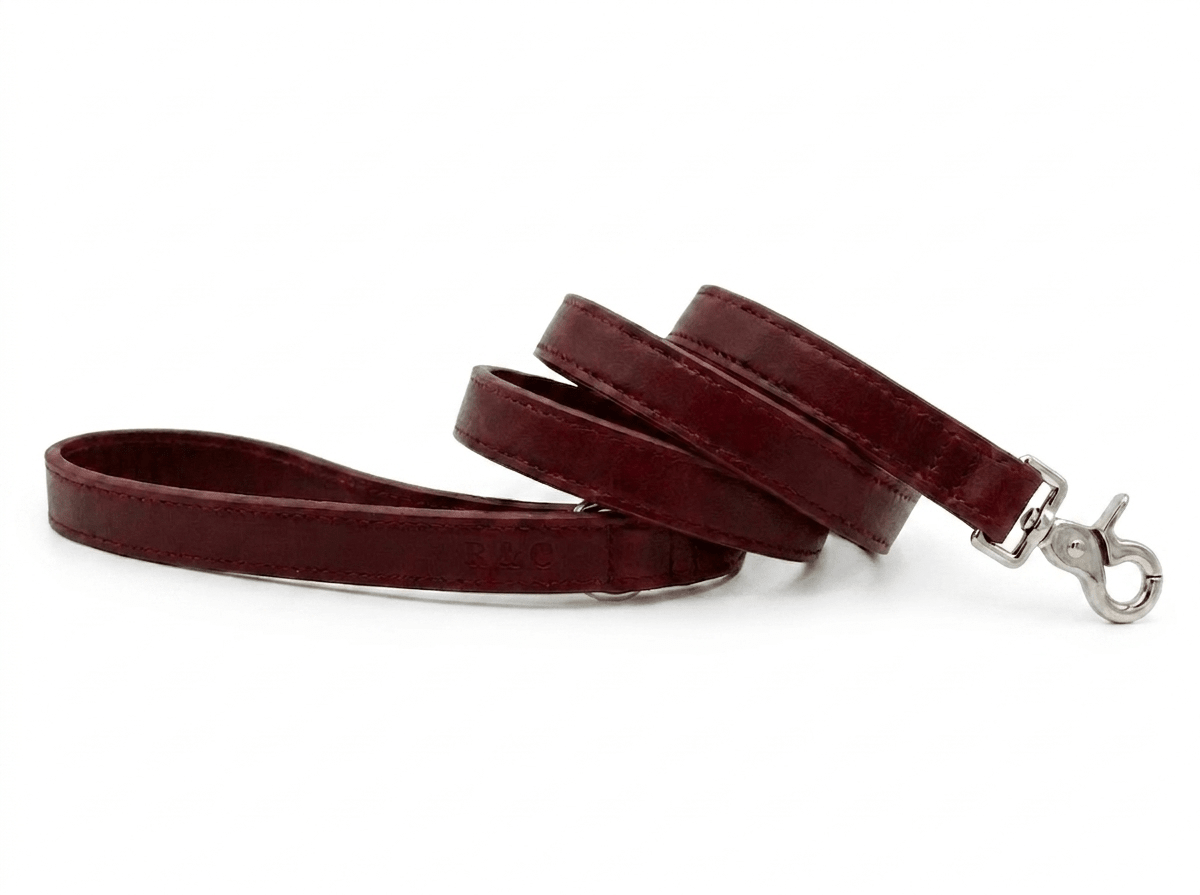 Oxblood Red Leather Dog Lead - Ralph & Co