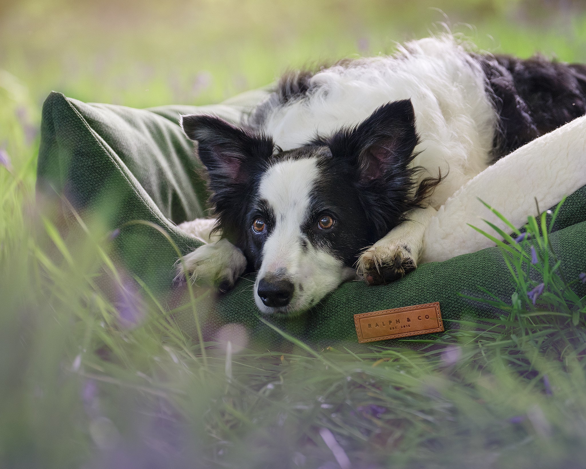 Stonewash Green Dog Bed | Richmond - Ralph & Co