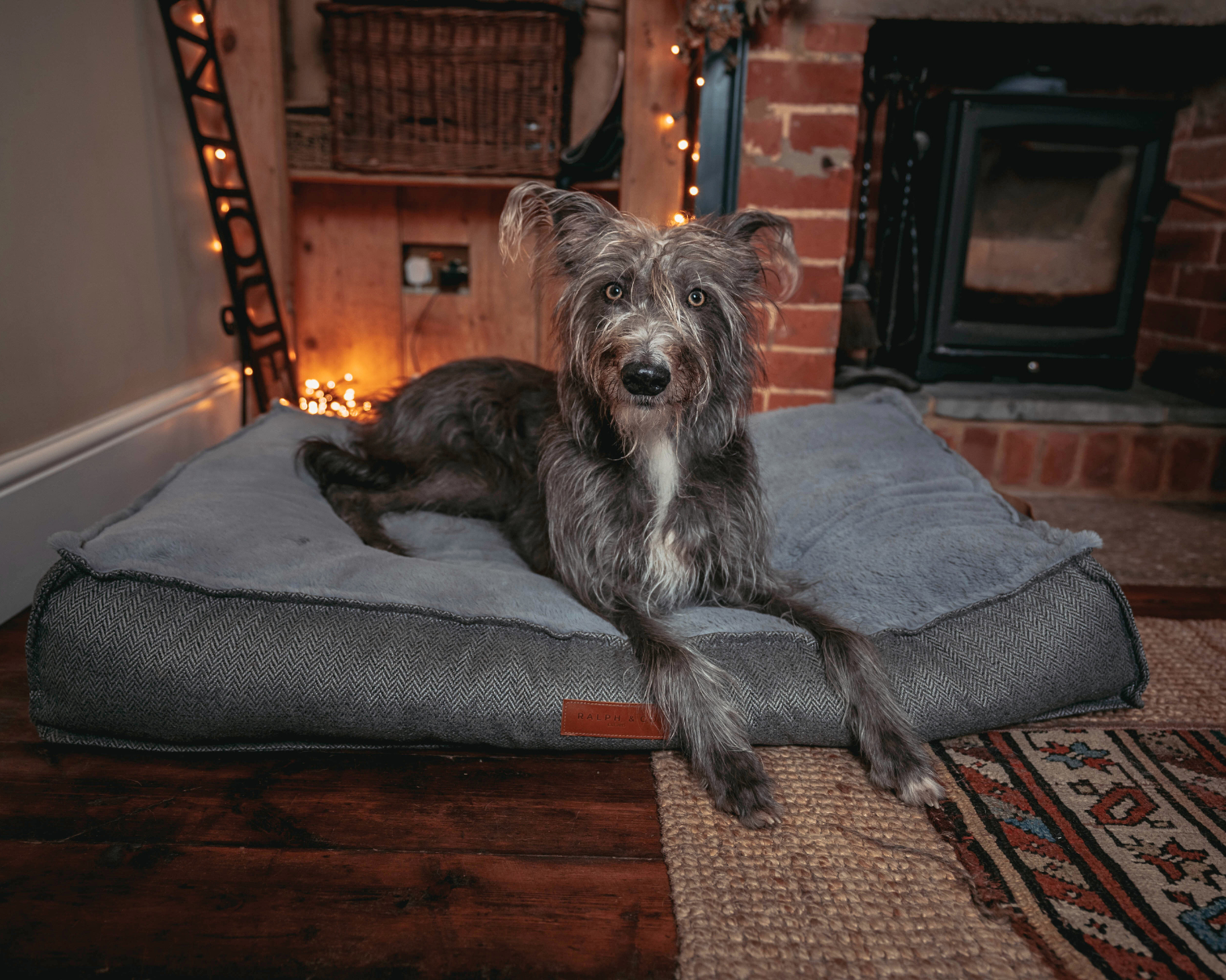 A lurcher sits on a Balmoral pillow bed in a cosy space
