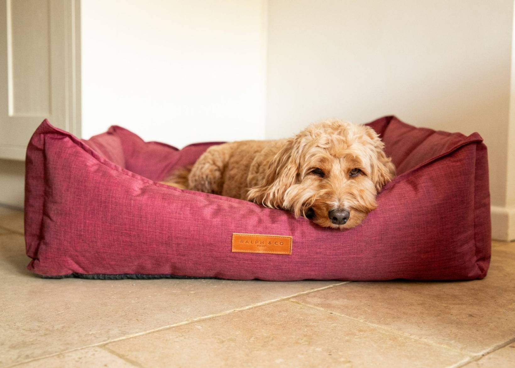 Waterproof Dog Bed | Ascot - Ralph & Co