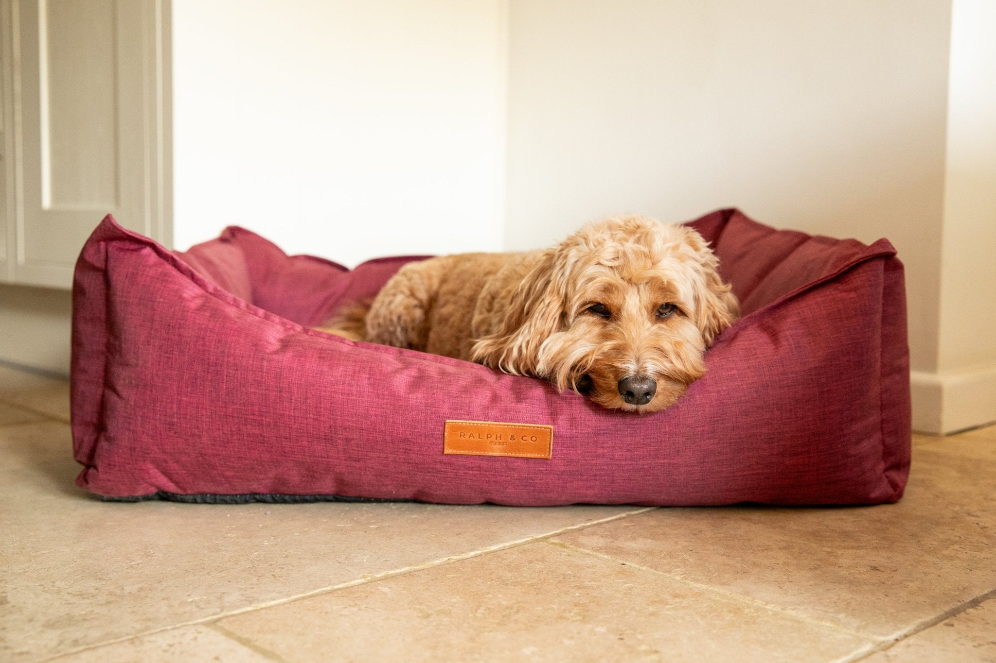 Waterproof Dog Bed | Ascot - Ralph & Co