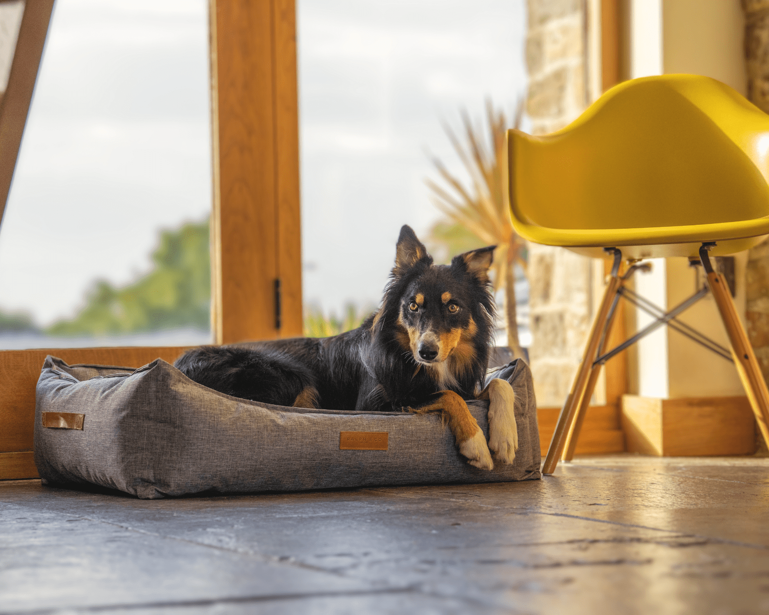 Easy to clean dog beds hot sale