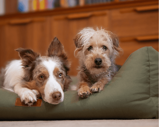 THE HENLEY | LUXURY WATERPROOF BED - Ralph & Co