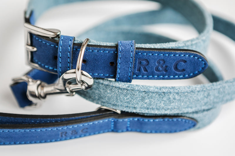 Blue Dog Collar & Matching Leather Lead