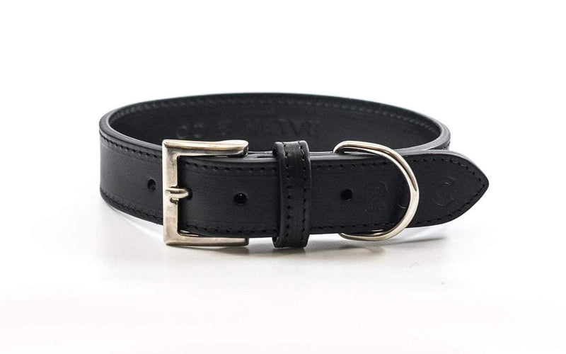 Ralph and Co Leather Dog Collar - Sorrento