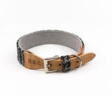 Ralph and Co Tweed & Leather Dog Collar - Ascot